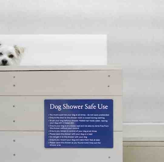 Dog Shower