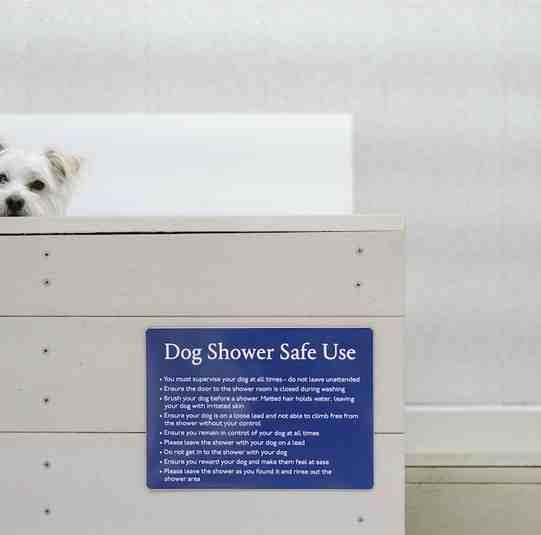 Dog Shower