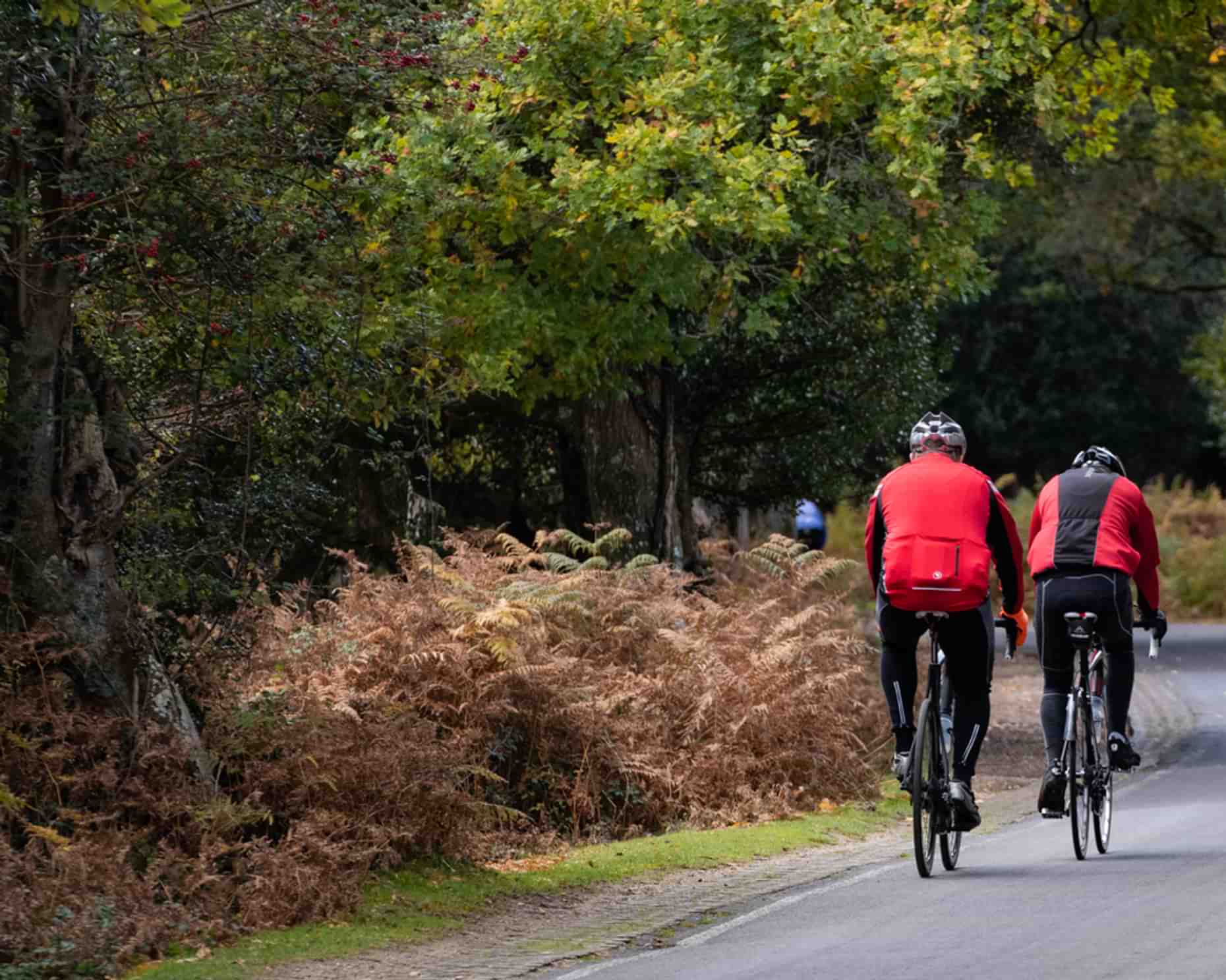 New Forest road cycling