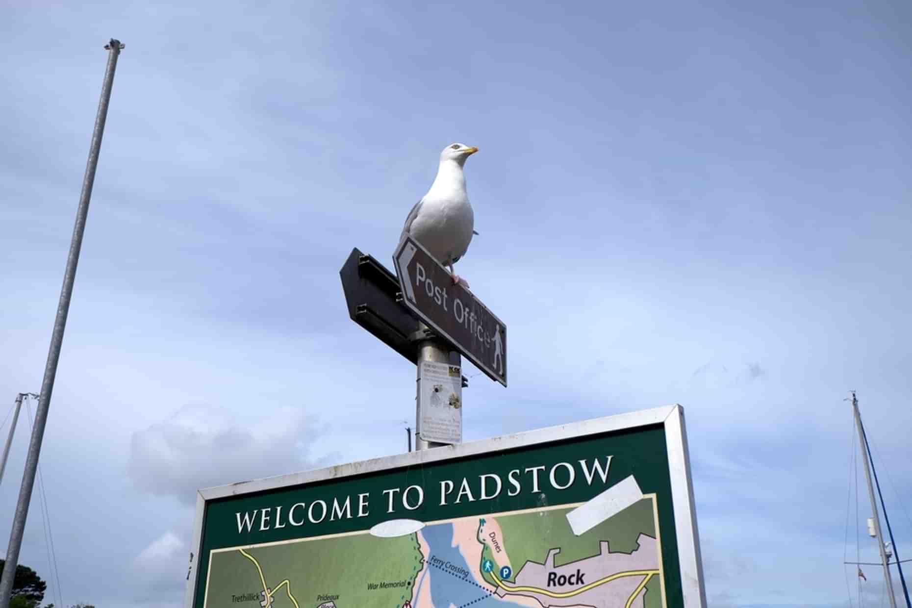 Padstow sign