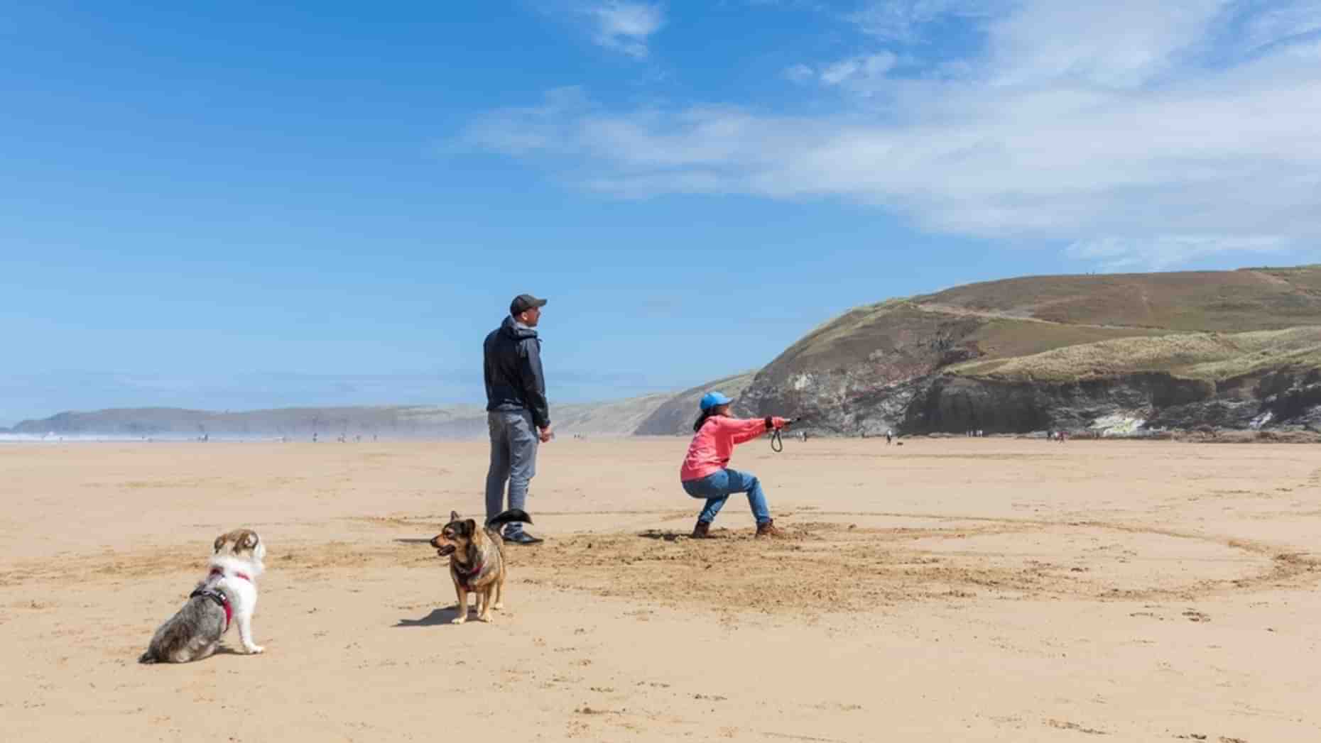 Perranporth beach dog friendly