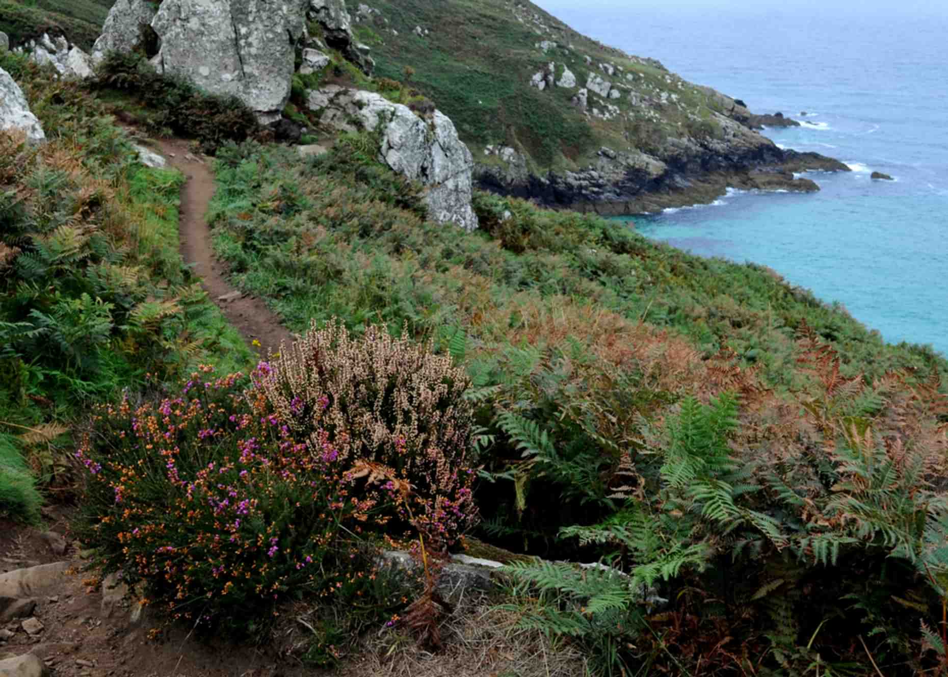 St Ives SW Coast Path Hellesveor Cliff