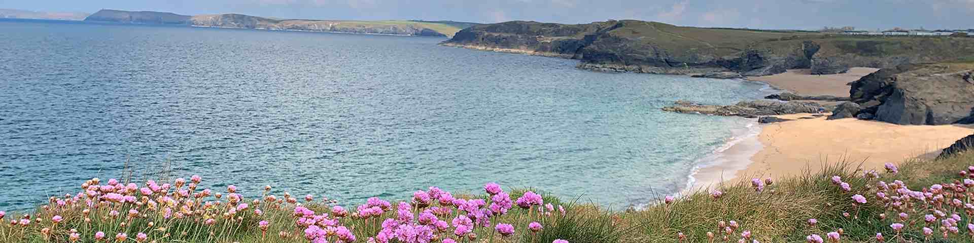 Hero banner template cornwall all parks