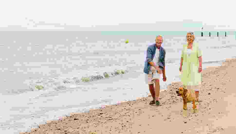Dog friendly Beach
