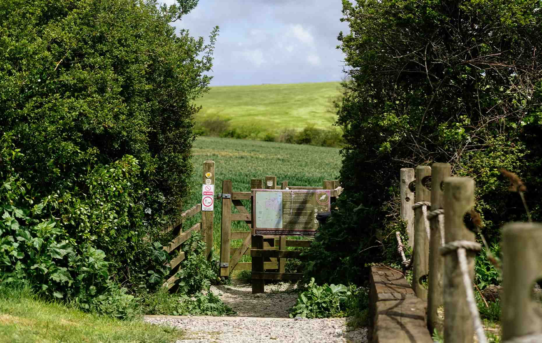 Padstow gate to padstow through the field w972